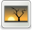 [thumbnail of ImageMagick conversion from application/pdf to image/tiff]